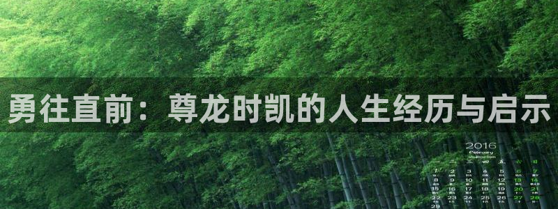 凯发k8娱乐登录：勇往直前：尊龙时凯的人生经历与启示