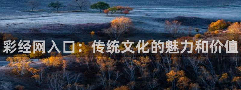 凯发k8国际官网：彩经网入口：传统文化的魅力和价值