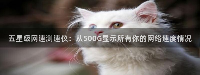 k8凯发旗舰厅官网入口：五星级网速测速仪：从500G显示所有你的网络速度情况